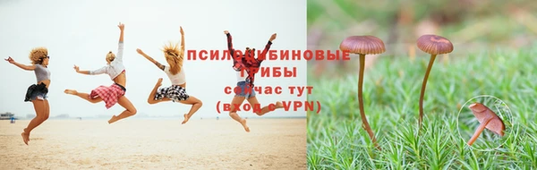 a pvp Алзамай