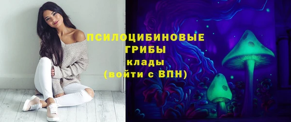 a pvp Алзамай