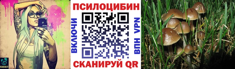 shop клад  Андреаполь  Галлюциногенные грибы прущие грибы  как найти закладки 